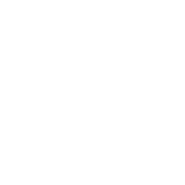 light logo
